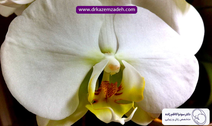 روش های سفید کردن واژن