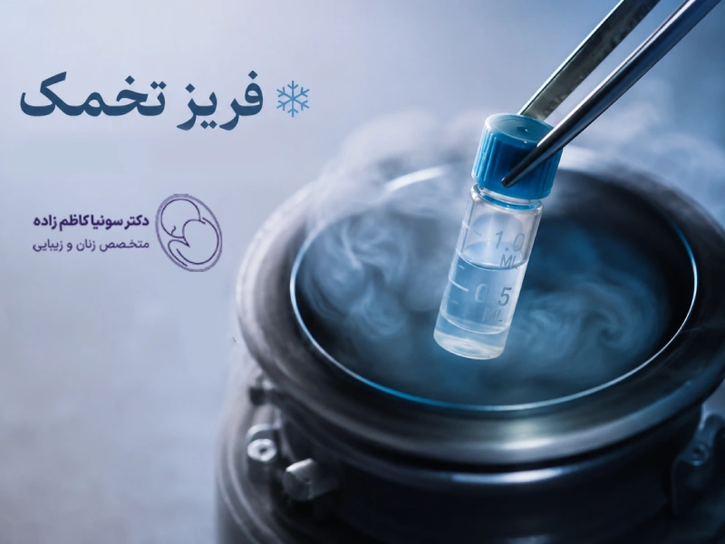 فریز تخمک